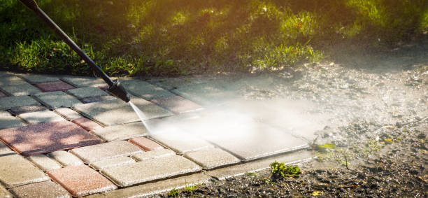 Best Gutter Cleaning  in Manton, MI